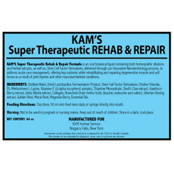 SUPER THERAPEUTIC REHAB&REPAIR - 1gallon